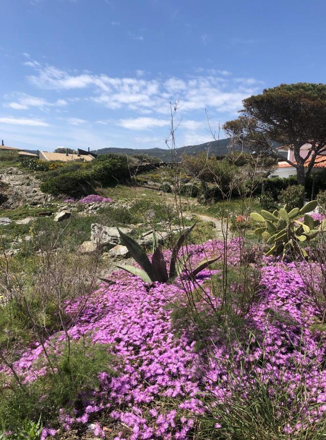 Beachfront Duplex With Terrace And Sea Views - Cadaqués Eksteriør bilde