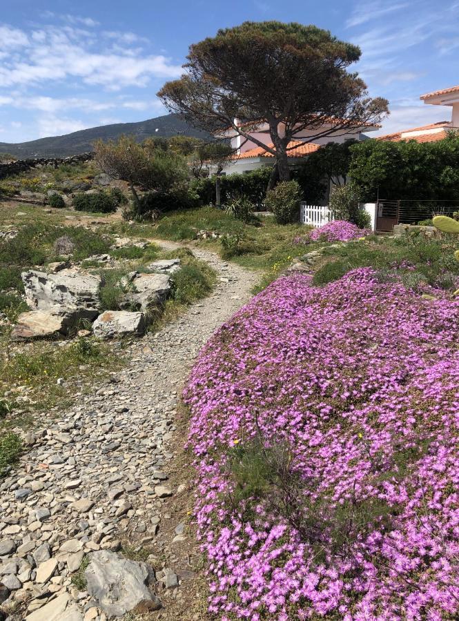 Beachfront Duplex With Terrace And Sea Views - Cadaqués Eksteriør bilde